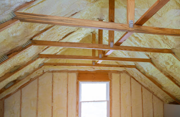 Best Insulation Materials and Products in Citrus, CA